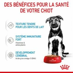 Royal Canin Maxi Puppy En Sauce - Pâtée Pour Chiot 13 Royal Canin Maxi Puppy En Sauce - Pâtée Pour Chiot -Promos Wanimo Boutique royal canin maxi puppy en sauce patee pour chiot 1 4