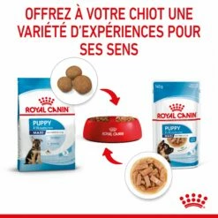 Royal Canin Maxi Puppy En Sauce - Pâtée Pour Chiot 14 Royal Canin Maxi Puppy En Sauce - Pâtée Pour Chiot -Promos Wanimo Boutique royal canin maxi puppy en sauce patee pour chiot 1 5