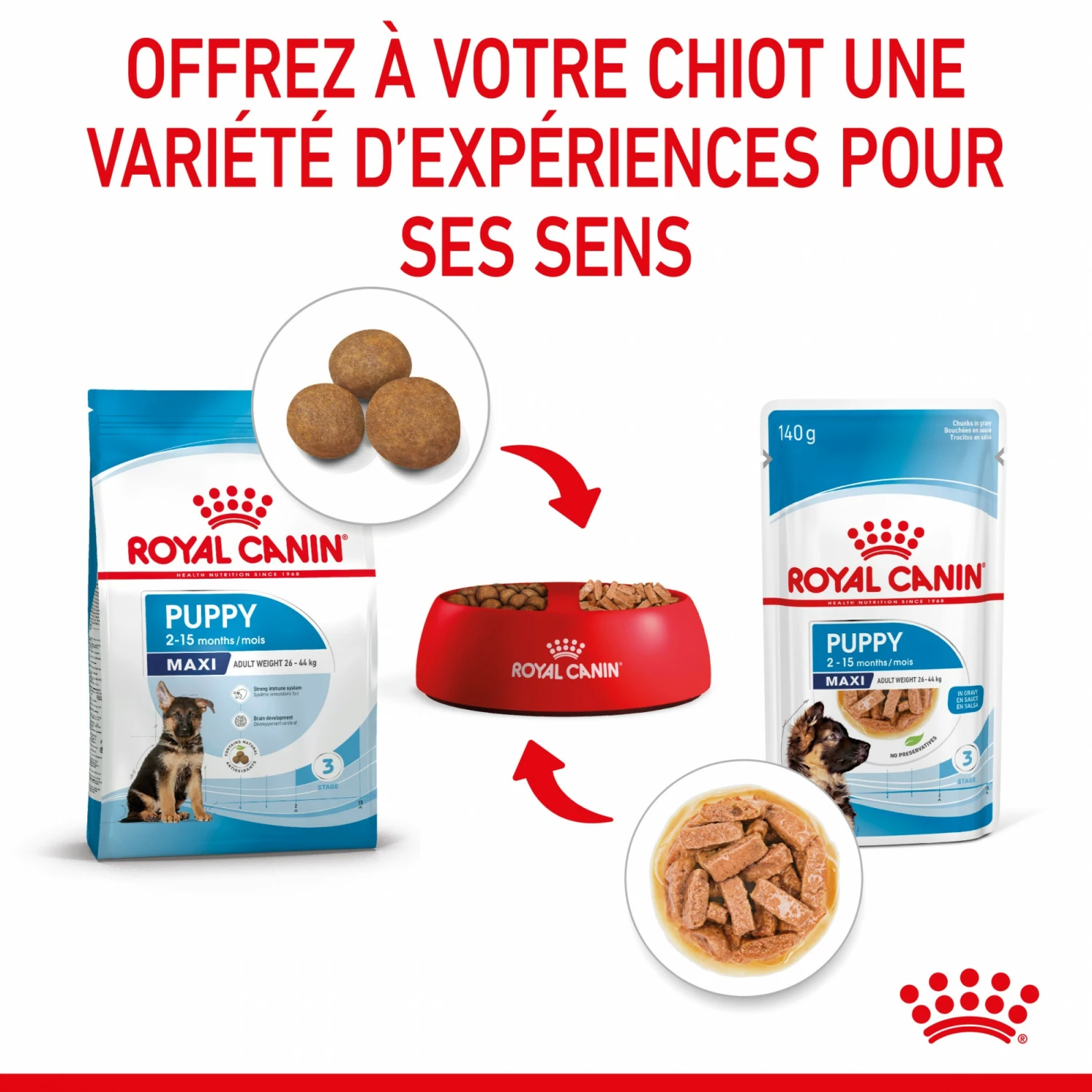 Royal Canin Maxi Puppy En Sauce - Pâtée Pour Chiot 6 Royal Canin Maxi Puppy En Sauce - Pâtée Pour Chiot – Image 6