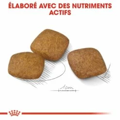 Royal Canin Maxi Relax Care - Croquettes Pour Chien 10 Royal Canin Maxi Relax Care - Croquettes Pour Chien -Promos Wanimo Boutique royal canin maxi relax care croquettes pour chien maxi relax care adulte 3