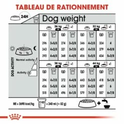 Royal Canin Maxi Relax Care - Croquettes Pour Chien 13 Royal Canin Maxi Relax Care - Croquettes Pour Chien -Promos Wanimo Boutique royal canin maxi relax care croquettes pour chien maxi relax care adulte 6