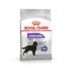 Royal Canin Maxi Sterilised - Croquettes Pour Chien