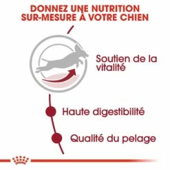 Royal Canin Medium Adult 7+ - Croquettes Pour Chien 9 Royal Canin Medium Adult 7+ - Croquettes Pour Chien -Promos Wanimo Boutique royal canin medium adult croquettes pour chien medium adult 1 2