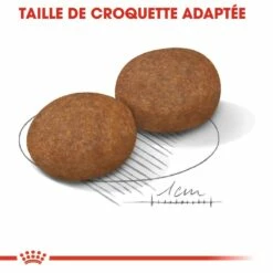 Royal Canin Medium Adult 7+ - Croquettes Pour Chien 10 Royal Canin Medium Adult 7+ - Croquettes Pour Chien -Promos Wanimo Boutique royal canin medium adult croquettes pour chien medium adult 1 3