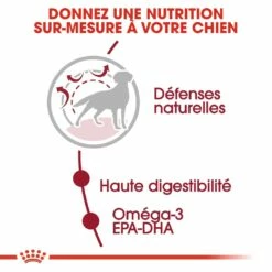 Royal Canin Medium Adult - Croquettes Pour Chien -Promos Wanimo Boutique royal canin medium adult croquettes pour chien medium adult 2