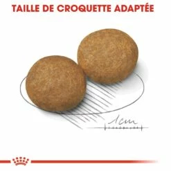 Royal Canin Medium Adult - Croquettes Pour Chien -Promos Wanimo Boutique royal canin medium adult croquettes pour chien medium adult 3