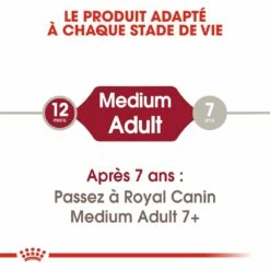 Royal Canin Medium Adult - Croquettes Pour Chien -Promos Wanimo Boutique royal canin medium adult croquettes pour chien medium adult 4