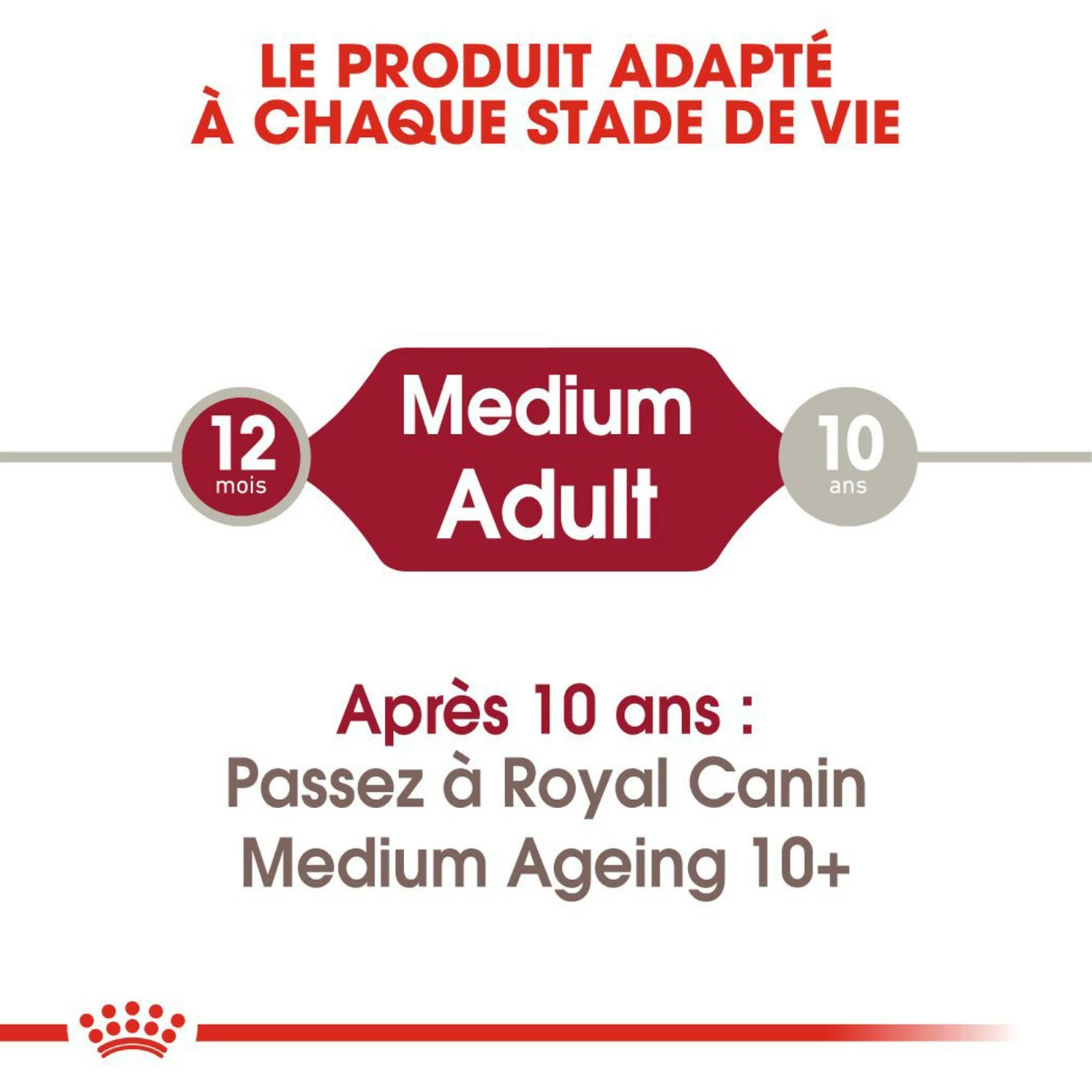 ROYAL CANIN Medium Adult En Sauce - Pâtée Pour Chien 3 ROYAL CANIN Medium Adult En Sauce - Pâtée Pour Chien – Image 3