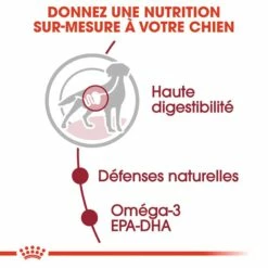 ROYAL CANIN Medium Adult En Sauce - Pâtée Pour Chien 11 ROYAL CANIN Medium Adult En Sauce - Pâtée Pour Chien -Promos Wanimo Boutique royal canin medium adult en sauce patee pour chien 1 3