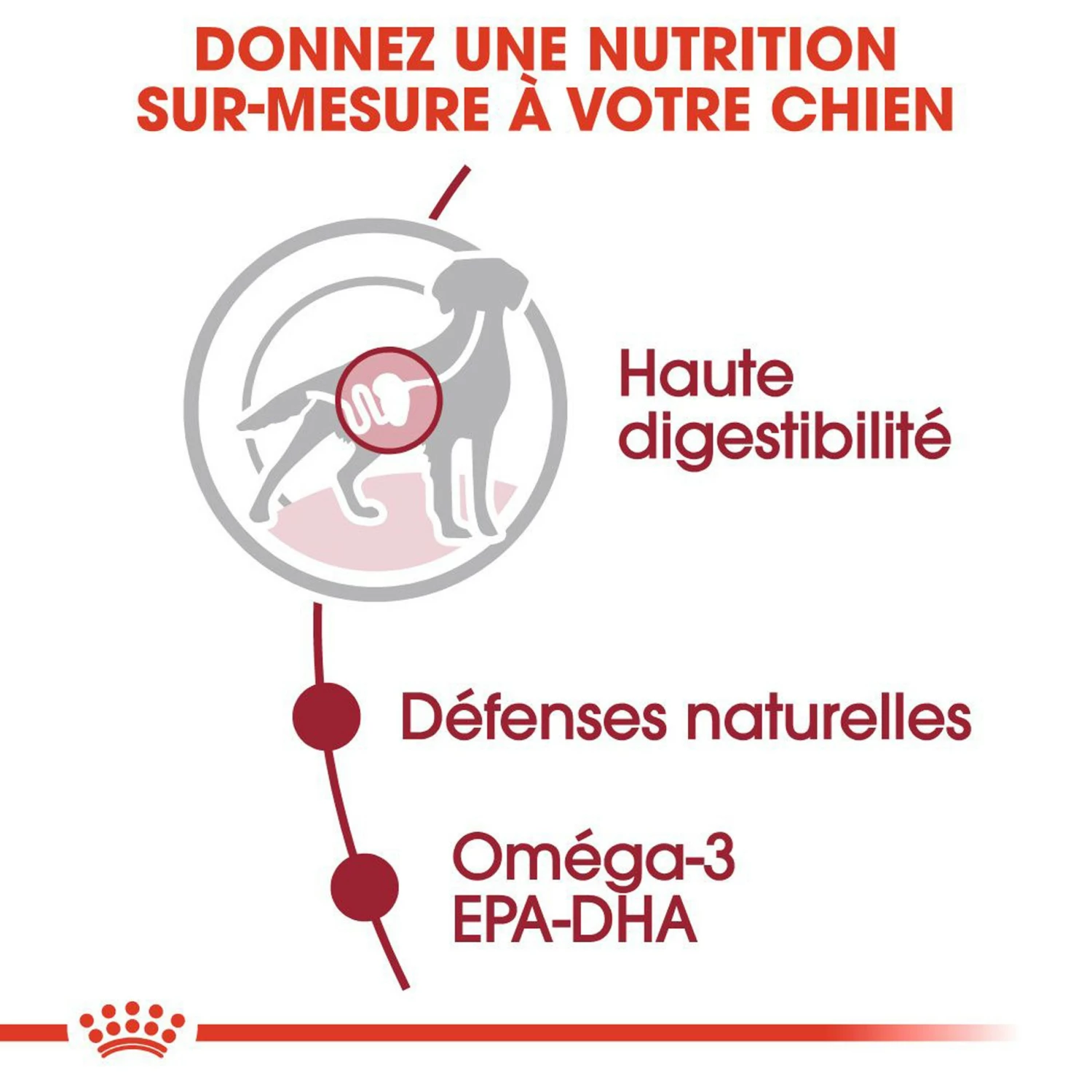 ROYAL CANIN Medium Adult En Sauce - Pâtée Pour Chien 4 ROYAL CANIN Medium Adult En Sauce - Pâtée Pour Chien – Image 4