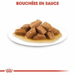ROYAL CANIN Medium Adult En Sauce - Pâtée Pour Chien 12 ROYAL CANIN Medium Adult En Sauce - Pâtée Pour Chien -Promos Wanimo Boutique royal canin medium adult en sauce patee pour chien 1 4
