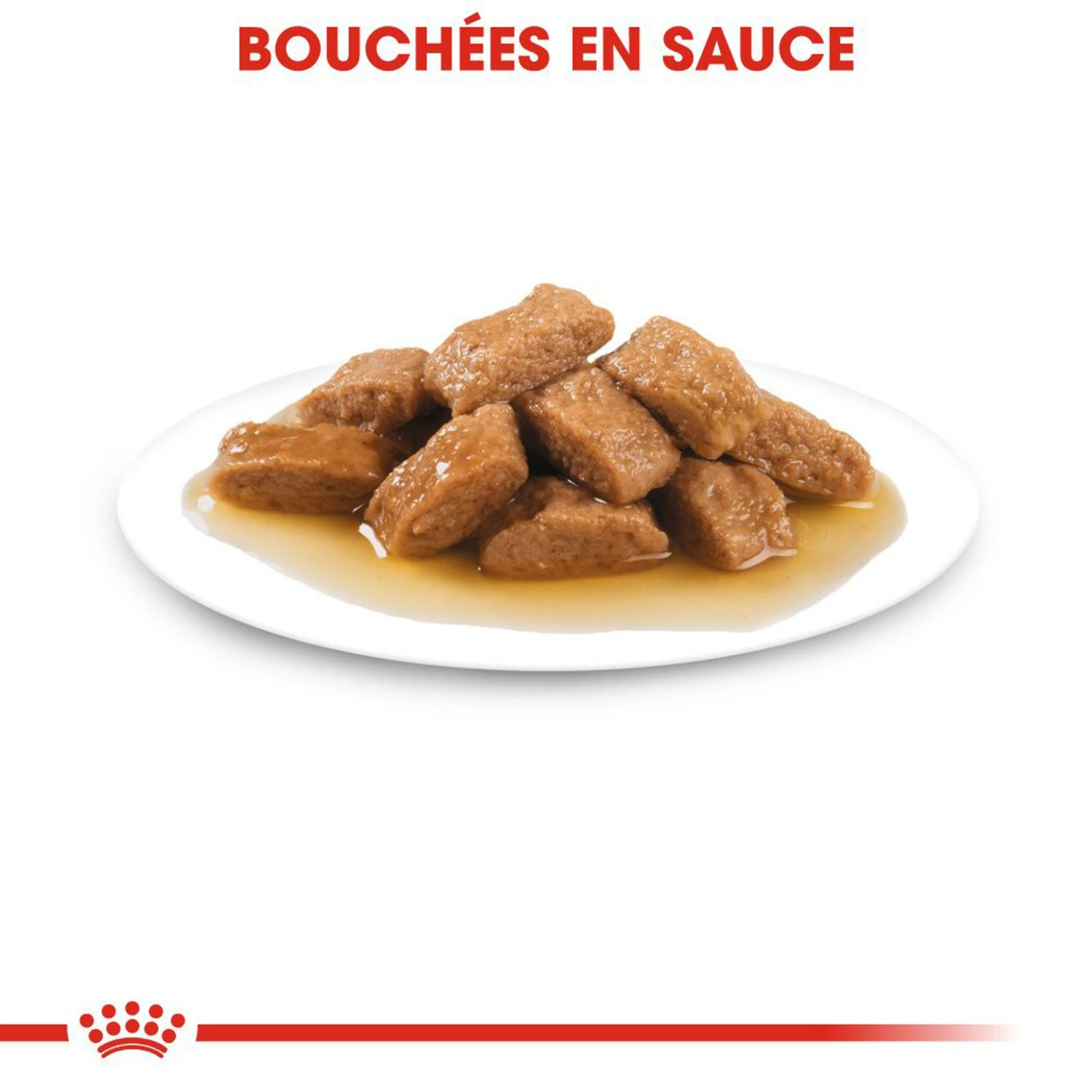 ROYAL CANIN Medium Adult En Sauce - Pâtée Pour Chien 5 ROYAL CANIN Medium Adult En Sauce - Pâtée Pour Chien – Image 5