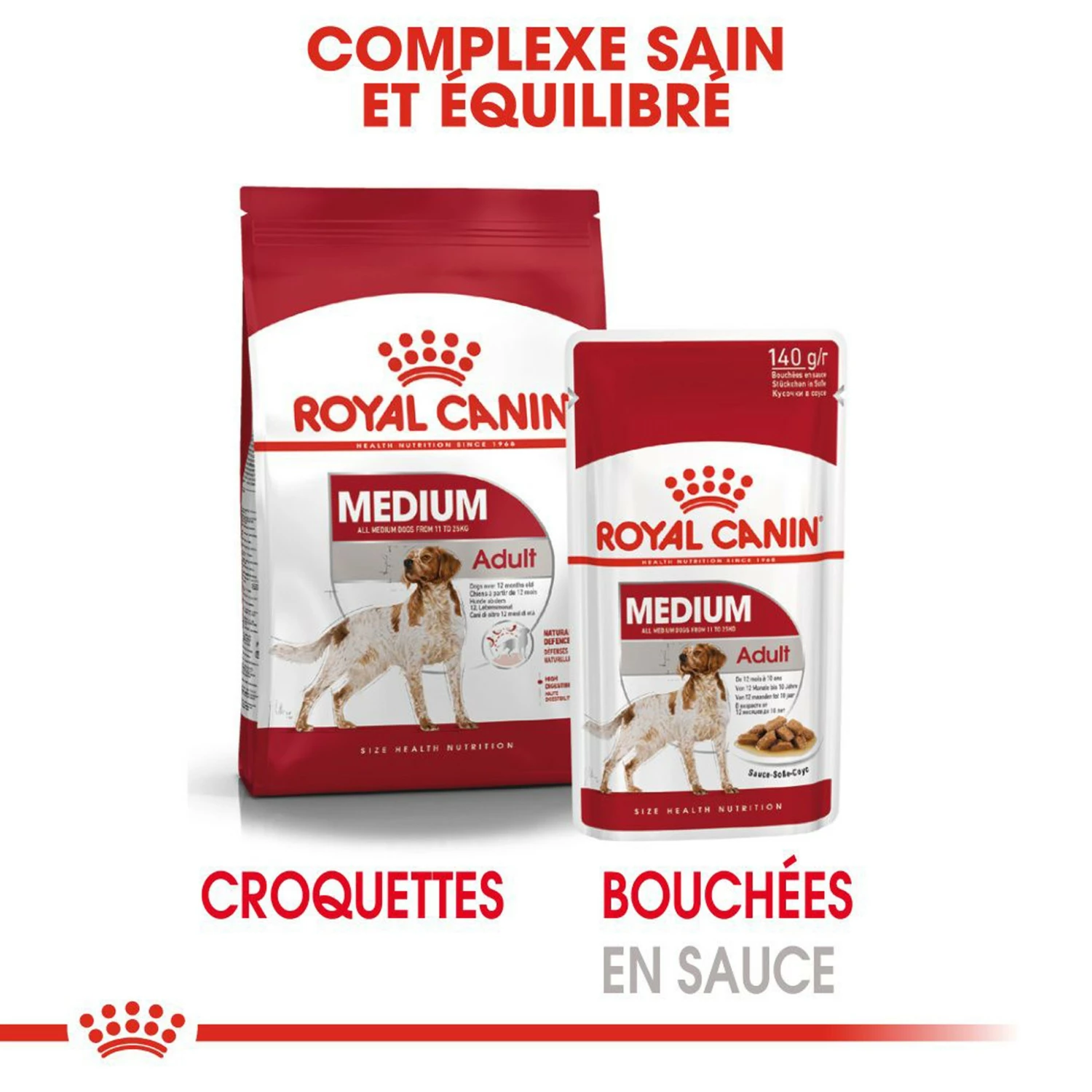 ROYAL CANIN Medium Adult En Sauce - Pâtée Pour Chien 6 ROYAL CANIN Medium Adult En Sauce - Pâtée Pour Chien – Image 6