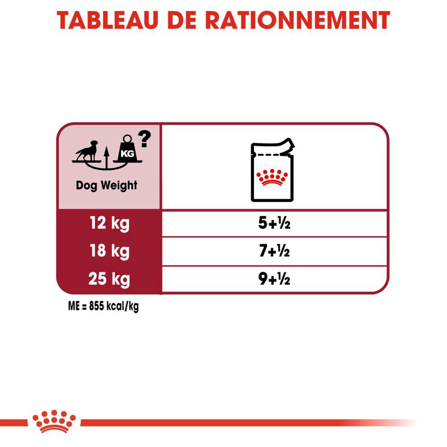 ROYAL CANIN Medium Adult En Sauce - Pâtée Pour Chien 7 ROYAL CANIN Medium Adult En Sauce - Pâtée Pour Chien – Image 7