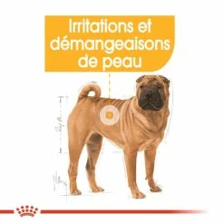 Royal Canin Medium Dermaconfort -Promos Wanimo Boutique royal canin medium dermaconfort medium dermaconfort 1 4