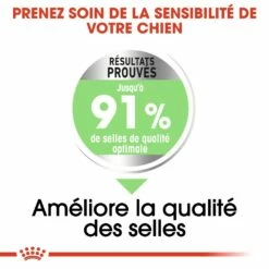 Royal Canin Medium Digestive Care - Croquettes Pour Chien -Promos Wanimo Boutique royal canin medium digestive care croquettes pour chien medium digestive care 2