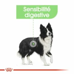 Royal Canin Medium Digestive Care - Croquettes Pour Chien -Promos Wanimo Boutique royal canin medium digestive care croquettes pour chien medium digestive care 5