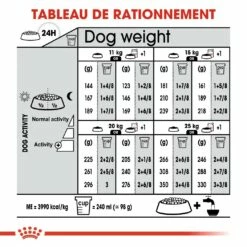 Royal Canin Medium Digestive Care - Croquettes Pour Chien -Promos Wanimo Boutique royal canin medium digestive care croquettes pour chien medium digestive care 6