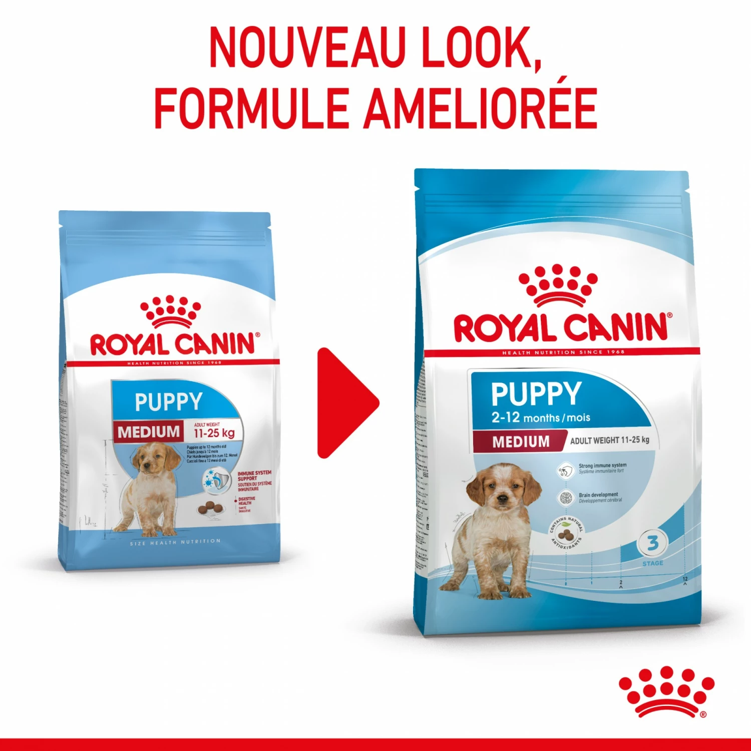 Royal Canin Medium Puppy - Croquettes Pour Chiot 2 Royal Canin Medium Puppy - Croquettes Pour Chiot – Image 2