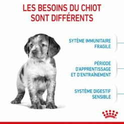 Royal Canin Medium Puppy - Croquettes Pour Chiot 13 Royal Canin Medium Puppy - Croquettes Pour Chiot -Promos Wanimo Boutique royal canin medium puppy croquettes pour chiot medium puppy 3