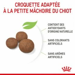 Royal Canin Medium Puppy - Croquettes Pour Chiot 15 Royal Canin Medium Puppy - Croquettes Pour Chiot -Promos Wanimo Boutique royal canin medium puppy croquettes pour chiot medium puppy 5