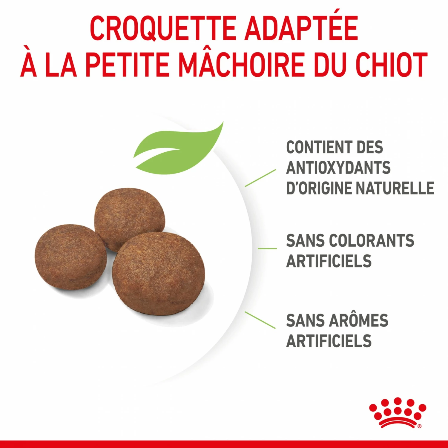 Royal Canin Medium Puppy - Croquettes Pour Chiot 6 Royal Canin Medium Puppy - Croquettes Pour Chiot – Image 6