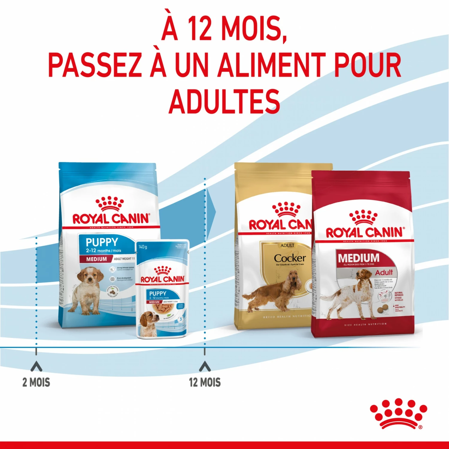 Royal Canin Medium Puppy - Croquettes Pour Chiot 7 Royal Canin Medium Puppy - Croquettes Pour Chiot – Image 7