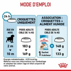 Royal Canin Medium Puppy - Croquettes Pour Chiot 18 Royal Canin Medium Puppy - Croquettes Pour Chiot -Promos Wanimo Boutique royal canin medium puppy croquettes pour chiot medium puppy 8