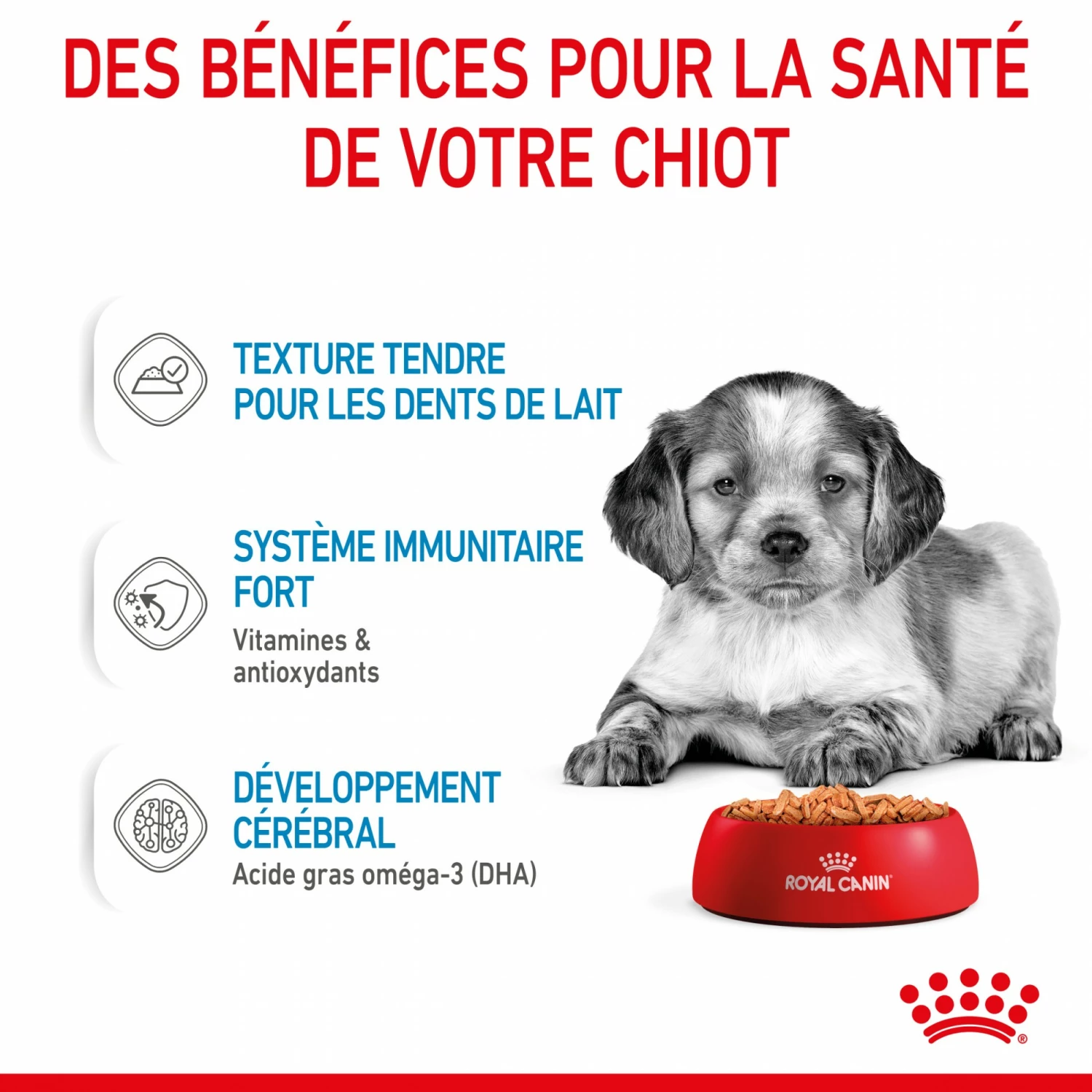 Royal Canin Medium Puppy En Sauce - Pâtée Pour Chiot 5 Royal Canin Medium Puppy En Sauce - Pâtée Pour Chiot – Image 5