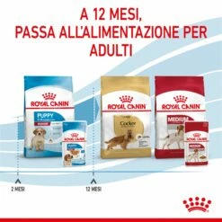Royal Canin Medium Puppy En Sauce - Pâtée Pour Chiot 18 Royal Canin Medium Puppy En Sauce - Pâtée Pour Chiot -Promos Wanimo Boutique royal canin medium puppy en sauce patee pour chiot 1 8