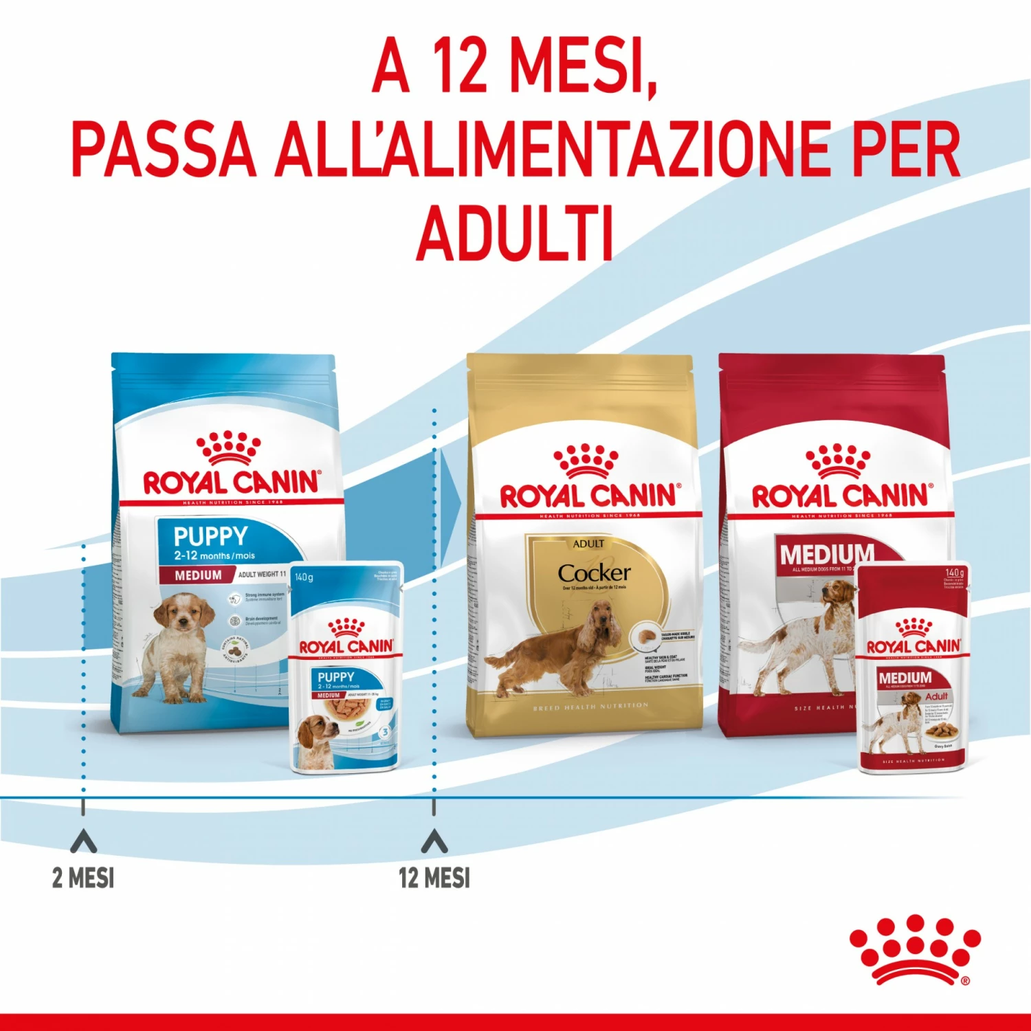 Royal Canin Medium Puppy En Sauce - Pâtée Pour Chiot 9 Royal Canin Medium Puppy En Sauce - Pâtée Pour Chiot – Image 9