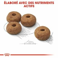 Royal Canin Medium Sterilised - Croquettes Pour Chien 11 Royal Canin Medium Sterilised - Croquettes Pour Chien -Promos Wanimo Boutique royal canin medium sterilised croquettes pour chien medium sterilised 3