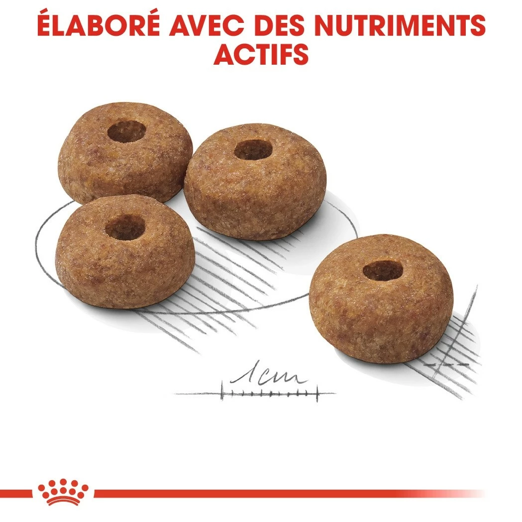 Royal Canin Medium Sterilised - Croquettes Pour Chien 4 Royal Canin Medium Sterilised - Croquettes Pour Chien – Image 4