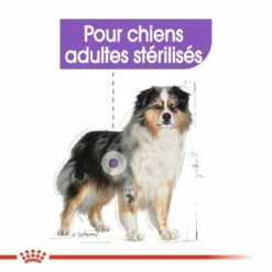 Royal Canin Medium Sterilised - Croquettes Pour Chien 13 Royal Canin Medium Sterilised - Croquettes Pour Chien -Promos Wanimo Boutique royal canin medium sterilised croquettes pour chien medium sterilised 5