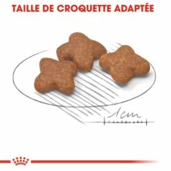 Royal Canin Mini Adult 8+ - Croquettes Pour Chien -Promos Wanimo Boutique royal canin mini adult croquettes pour chien mini adult 1 2