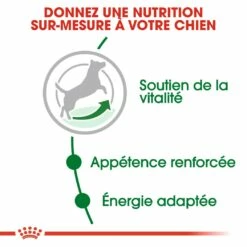 Royal Canin Mini Adult 8+ - Croquettes Pour Chien -Promos Wanimo Boutique royal canin mini adult croquettes pour chien mini adult 1 4