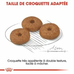 Royal Canin Mini Ageing 12+ - Croquettes Pour Chien 11 Royal Canin Mini Ageing 12+ - Croquettes Pour Chien -Promos Wanimo Boutique royal canin mini ageing croquettes pour chien mini ageing 1 2