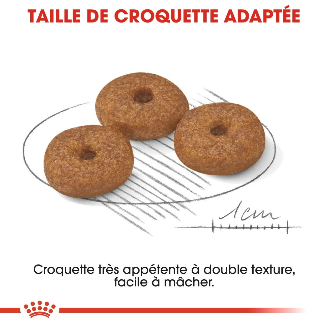 Royal Canin Mini Ageing 12+ - Croquettes Pour Chien 3 Royal Canin Mini Ageing 12+ - Croquettes Pour Chien – Image 3