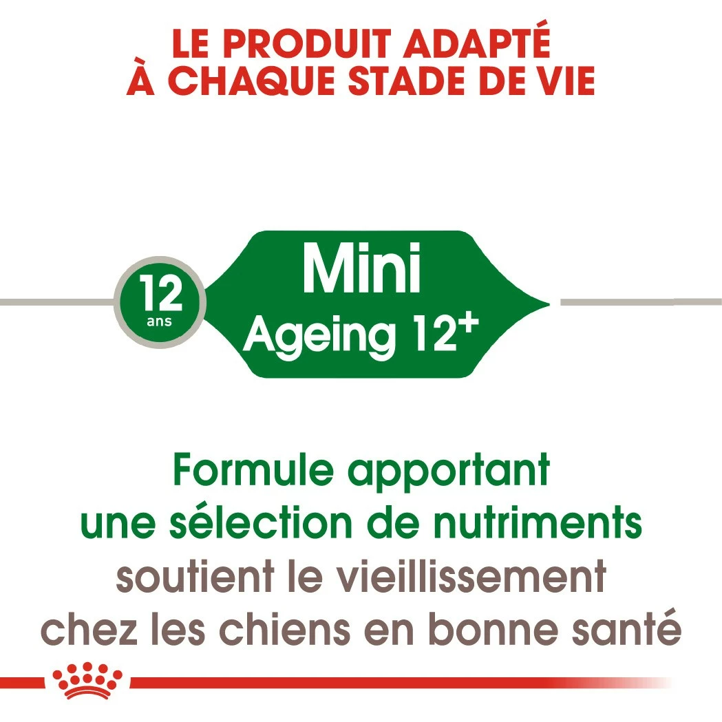 Royal Canin Mini Ageing 12+ - Croquettes Pour Chien 4 Royal Canin Mini Ageing 12+ - Croquettes Pour Chien – Image 4