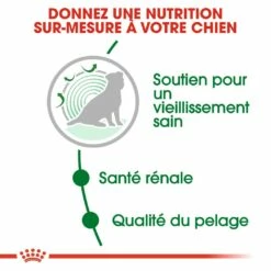 Royal Canin Mini Ageing 12+ - Croquettes Pour Chien 13 Royal Canin Mini Ageing 12+ - Croquettes Pour Chien -Promos Wanimo Boutique royal canin mini ageing croquettes pour chien mini ageing 1 4