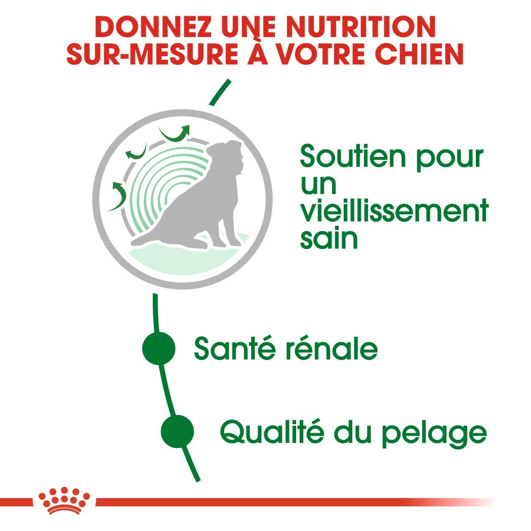 Royal Canin Mini Ageing 12+ - Croquettes Pour Chien 5 Royal Canin Mini Ageing 12+ - Croquettes Pour Chien – Image 5