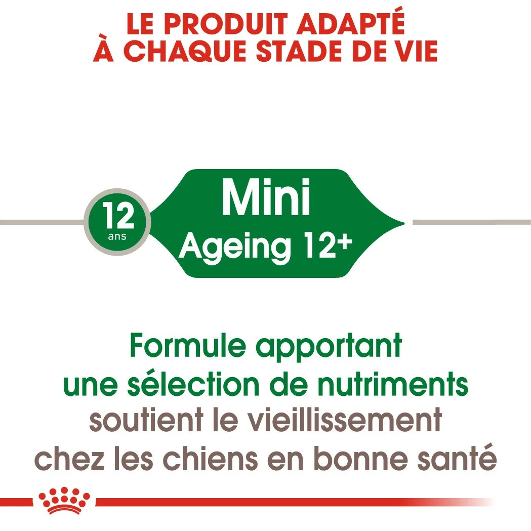 Royal Canin Mini Ageing 12 - Pâtée Pour Chien 2 Royal Canin Mini Ageing 12 - Pâtée Pour Chien – Image 2