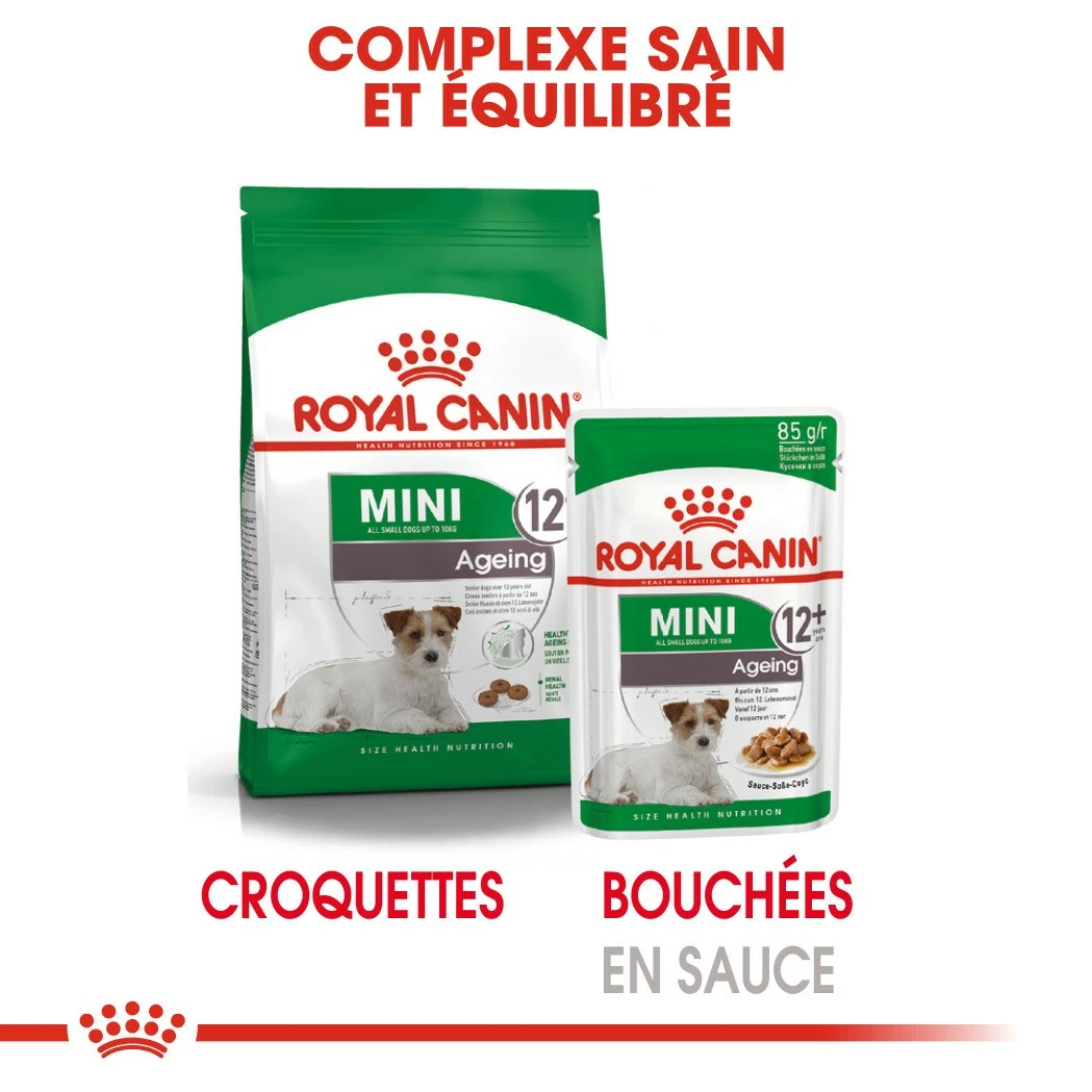 Royal Canin Mini Ageing 12 - Pâtée Pour Chien 6 Royal Canin Mini Ageing 12 - Pâtée Pour Chien – Image 6
