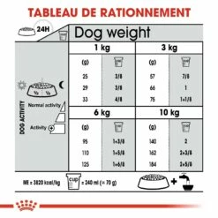 Royal Canin Mini Dental Care - Croquettes Pour Chien 12 Royal Canin Mini Dental Care - Croquettes Pour Chien -Promos Wanimo Boutique royal canin mini dental care croquettes pour chien mini dental care adulte 5