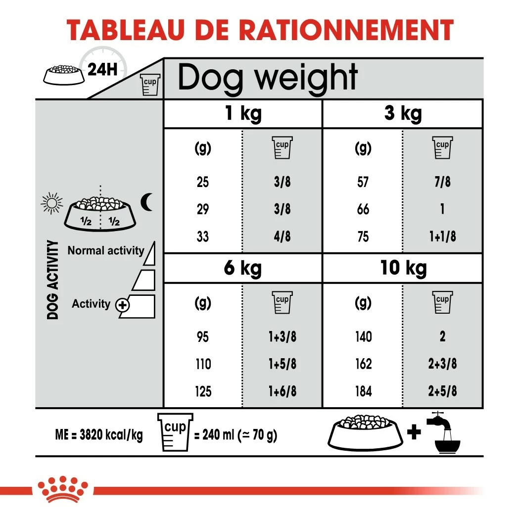 Royal Canin Mini Dental Care - Croquettes Pour Chien 6 Royal Canin Mini Dental Care - Croquettes Pour Chien – Image 6