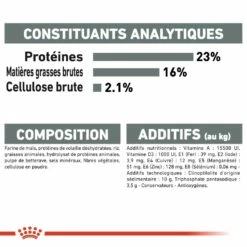 Royal Canin Mini Dental Care - Croquettes Pour Chien 13 Royal Canin Mini Dental Care - Croquettes Pour Chien -Promos Wanimo Boutique royal canin mini dental care croquettes pour chien mini dental care adulte 6