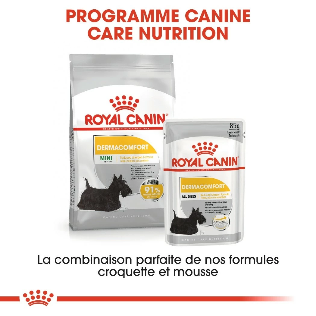 Royal Canin Mini Dermaconfort - Croquettes Pour Chien 5 Royal Canin Mini Dermaconfort - Croquettes Pour Chien – Image 5