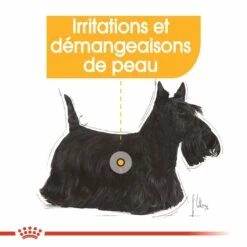 Royal Canin Mini Dermaconfort - Croquettes Pour Chien 13 Royal Canin Mini Dermaconfort - Croquettes Pour Chien -Promos Wanimo Boutique royal canin mini dermaconfort croquettes pour chien mini dermacomfort 5