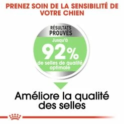 Royal Canin Mini Digestive Care - Croquettes Pour Chien -Promos Wanimo Boutique royal canin mini digestive care croquettes pour chien mini digestive care 2
