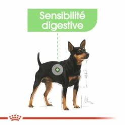 Royal Canin Mini Digestive Care - Croquettes Pour Chien -Promos Wanimo Boutique royal canin mini digestive care croquettes pour chien mini digestive care 5